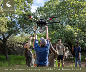 SWF cycad drone survey